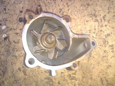 IMG_20121014_173559.jpg (165.81 KiB) Zobrazeno 1617 x IMG_20121014_173559.jpg